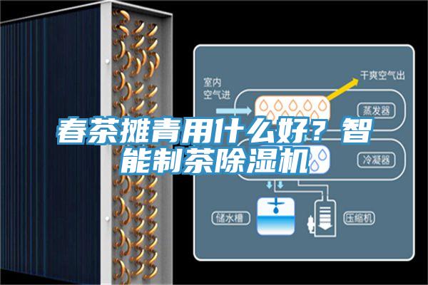 春茶攤青用什么好？智能制茶除濕機