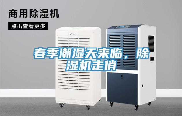 春季潮濕天來臨，除濕機(jī)走俏