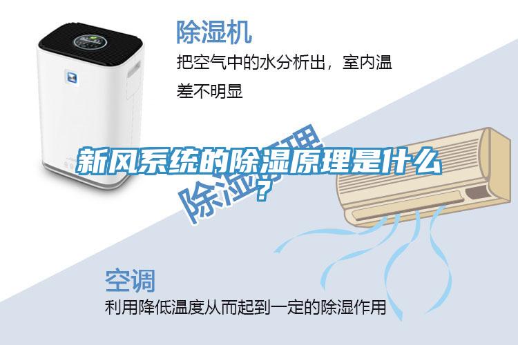 新風(fēng)系統(tǒng)的除濕原理是什么？