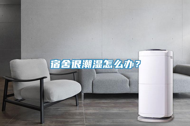 宿舍很潮濕怎么辦？