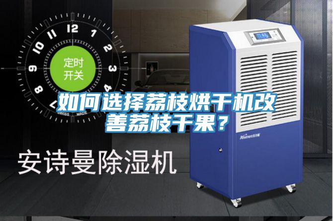如何選擇荔枝烘干機(jī)改善荔枝干果？