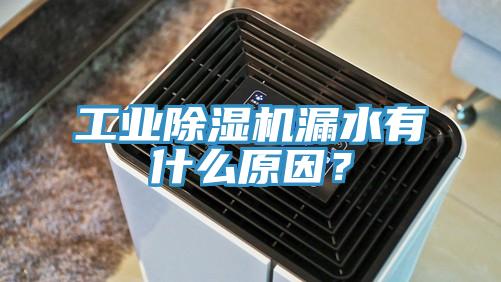 工業(yè)除濕機(jī)漏水有什么原因？