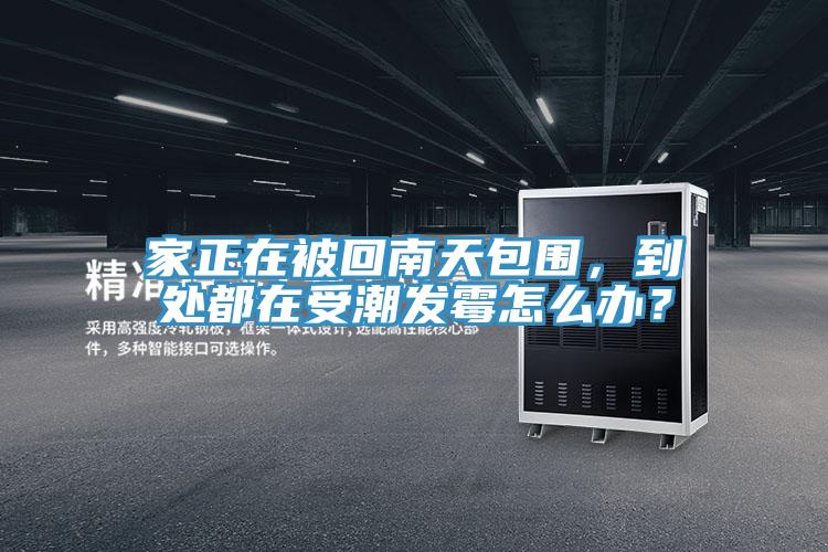 家正在被回南天包圍，到處都在受潮發(fā)霉怎么辦？