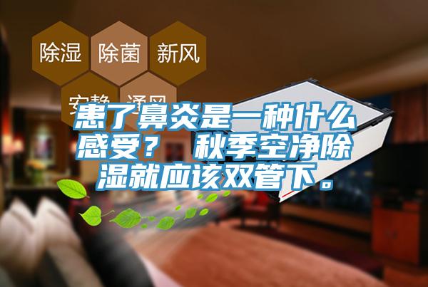 患了鼻炎是一種什么感受？ 秋季空凈除濕就應(yīng)該雙管下。
