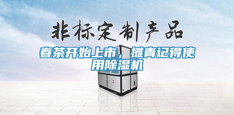 春茶開始上市，攤青記得使用除濕機
