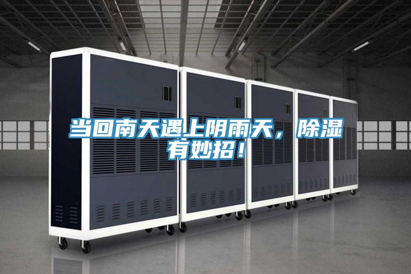 當回南天遇上陰雨天，除濕有妙招！