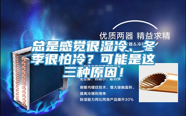 總是感覺很濕冷、冬季很怕冷？可能是這三種原因！