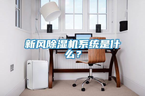 新風(fēng)除濕機系統(tǒng)是什么？