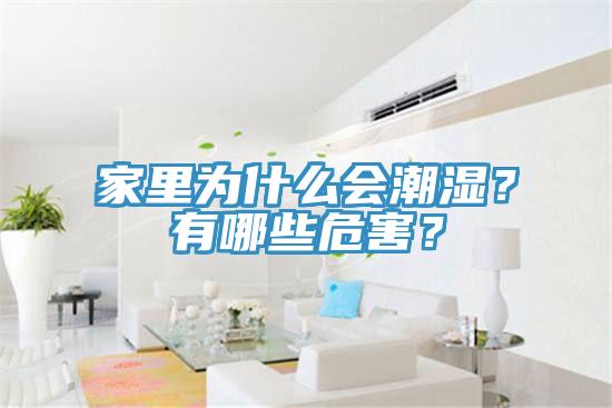 家里為什么會潮濕？有哪些危害？
