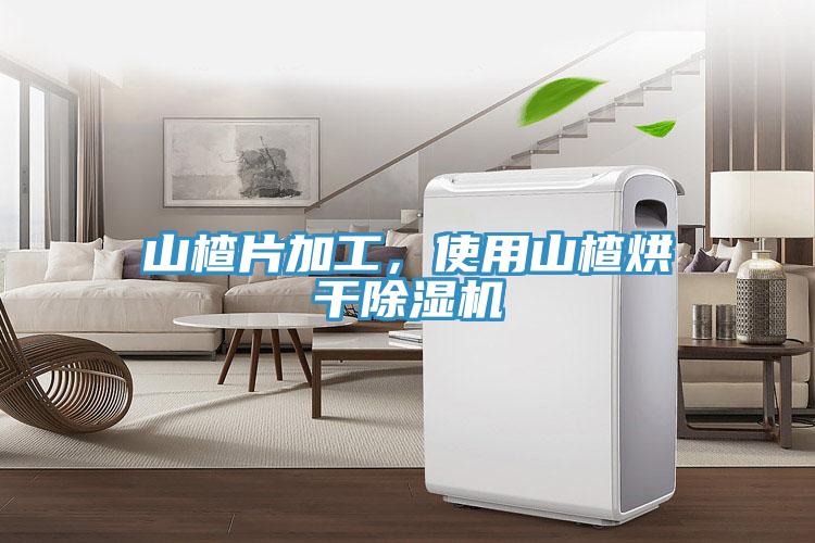 山楂片加工，使用山楂烘干除濕機