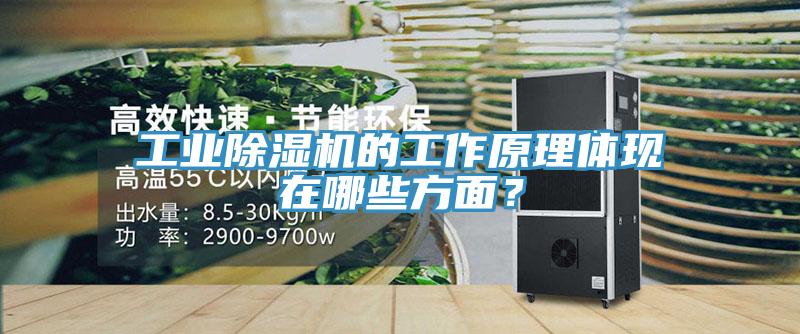 工業(yè)除濕機(jī)的工作原理體現(xiàn)在哪些方面？