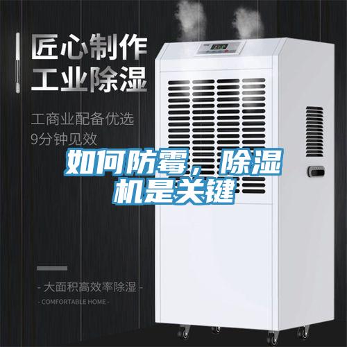 如何防霉，除濕機是關鍵