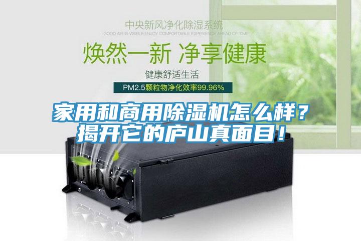 家用和商用除濕機怎么樣？揭開它的廬山真面目！