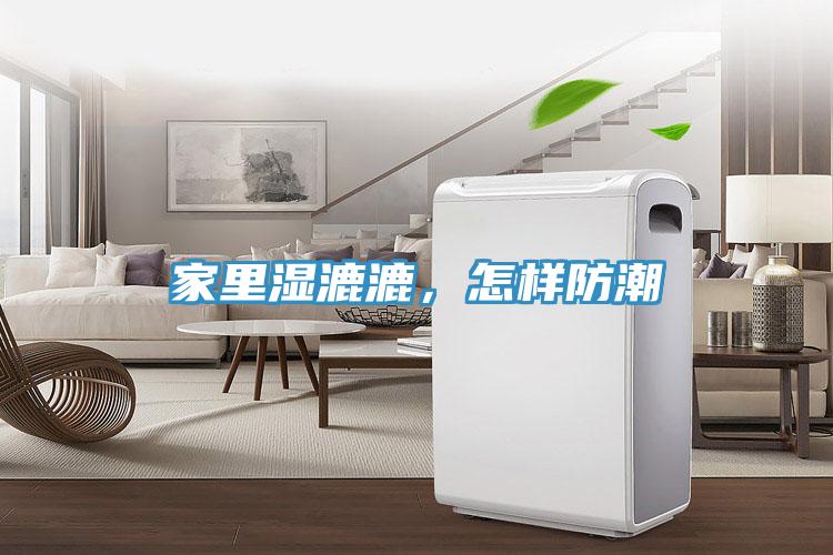 家里濕漉漉，怎樣防潮