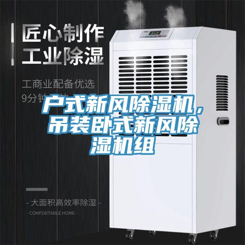 戶式新風(fēng)除濕機，吊裝臥式新風(fēng)除濕機組