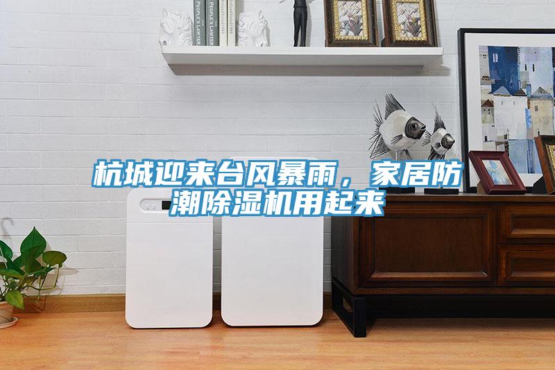 杭城迎來臺風(fēng)暴雨，家居防潮除濕機(jī)用起來