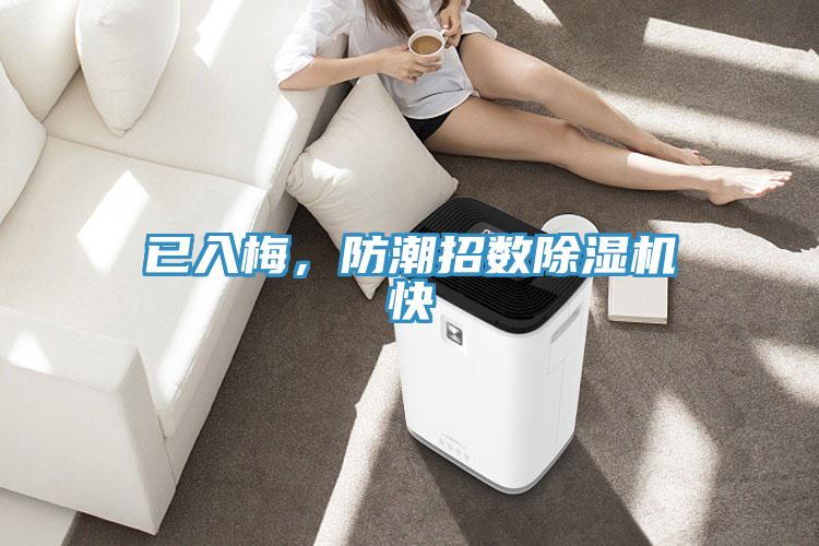 已入梅，防潮招數(shù)除濕機快