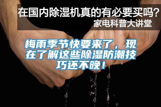 梅雨季節(jié)快要來了，現(xiàn)在了解這些除濕防潮技巧還不晚！