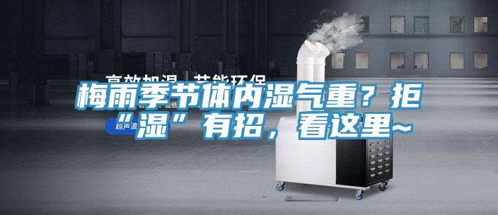 梅雨季節(jié)體內(nèi)濕氣重？拒“濕”有招，看這里~