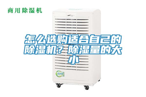 怎么選購適合自己的除濕機(jī)？除濕量的大小