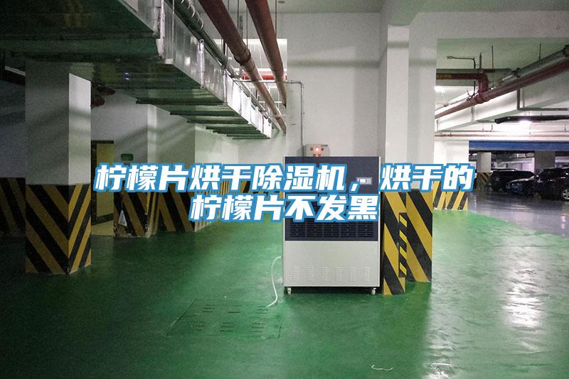 檸檬片烘干除濕機(jī)，烘干的檸檬片不發(fā)黑