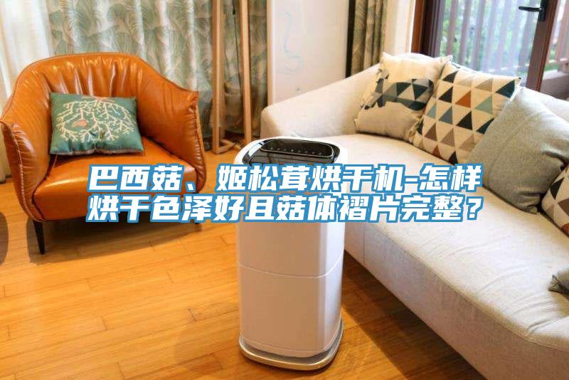 巴西菇、姬松茸烘干機(jī)-怎樣烘干色澤好且菇體褶片完整？