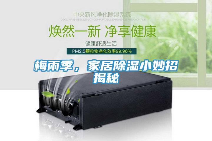 梅雨季，家居除濕小妙招揭秘
