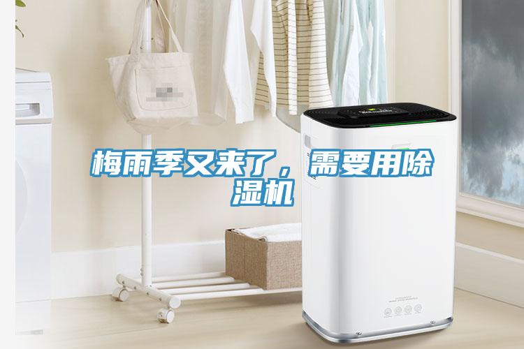 梅雨季又來了，需要用除濕機