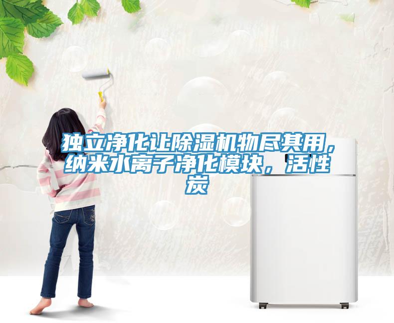 獨立凈化讓除濕機物盡其用，納米水離子凈化模塊，活性炭