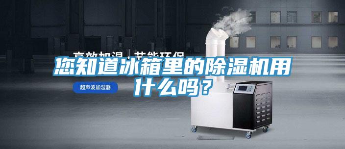 您知道冰箱里的除濕機(jī)用什么嗎？