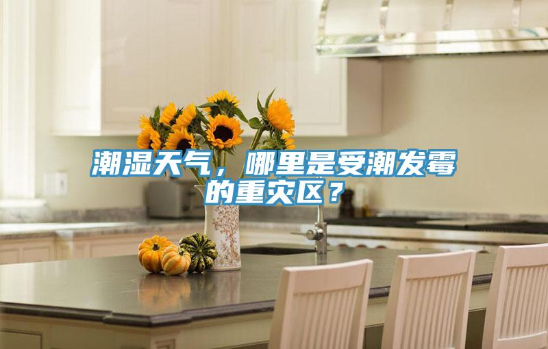 潮濕天氣，哪里是受潮發(fā)霉的重災(zāi)區(qū)？