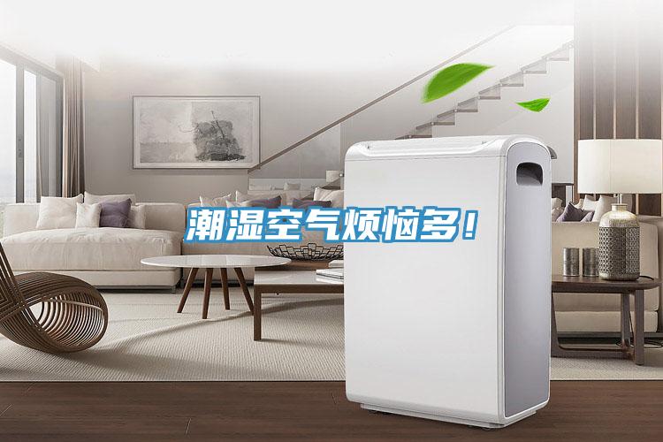 潮濕空氣煩惱多！