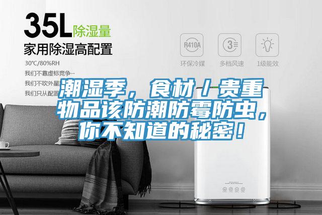 潮濕季，食材／貴重物品該防潮防霉防蟲，你不知道的秘密！