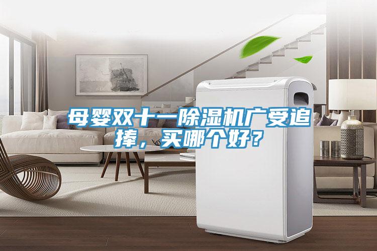 母嬰雙十一除濕機(jī)廣受追捧，買哪個好？
