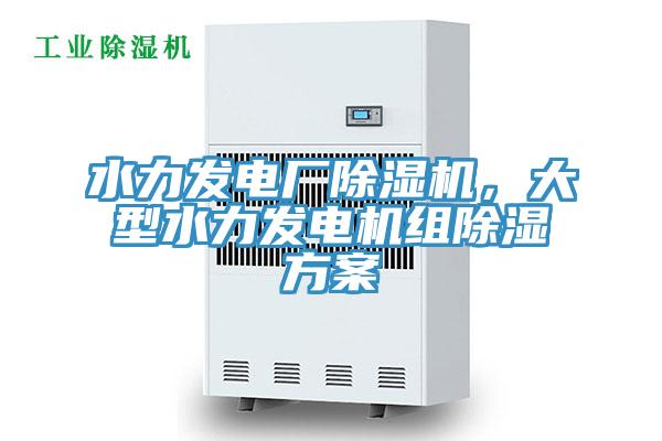 水力發(fā)電廠除濕機(jī)，大型水力發(fā)電機(jī)組除濕方案