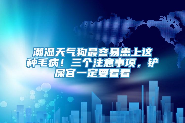 潮濕天氣狗最容易患上這種毛病！三個(gè)注意事項(xiàng)，鏟屎官一定要看看