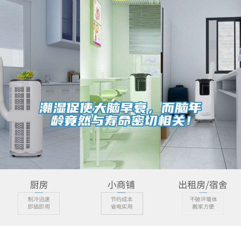 潮濕促使大腦早衰，而腦年齡竟然與壽命密切相關(guān)！