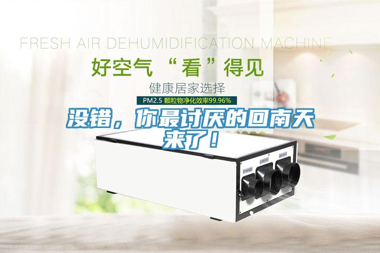 沒錯，你最討厭的回南天來了！