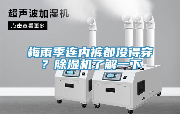 梅雨季連內(nèi)褲都沒得穿？除濕機了解一下