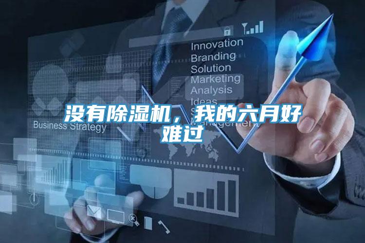 沒有除濕機(jī)，我的六月好難過