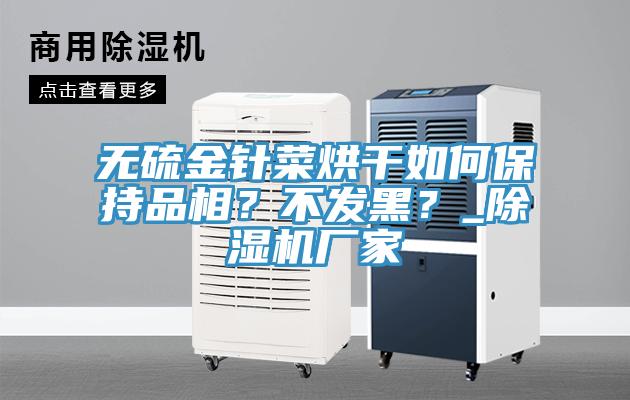 無硫金針菜烘干如何保持品相？不發(fā)黑？_除濕機廠家