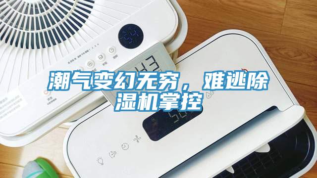 潮氣變幻無窮，難逃除濕機掌控