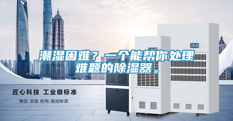 潮濕困難？一個能幫你處理難題的除濕器。