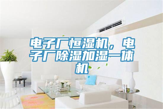 電子廠恒濕機，電子廠除濕加濕一體機