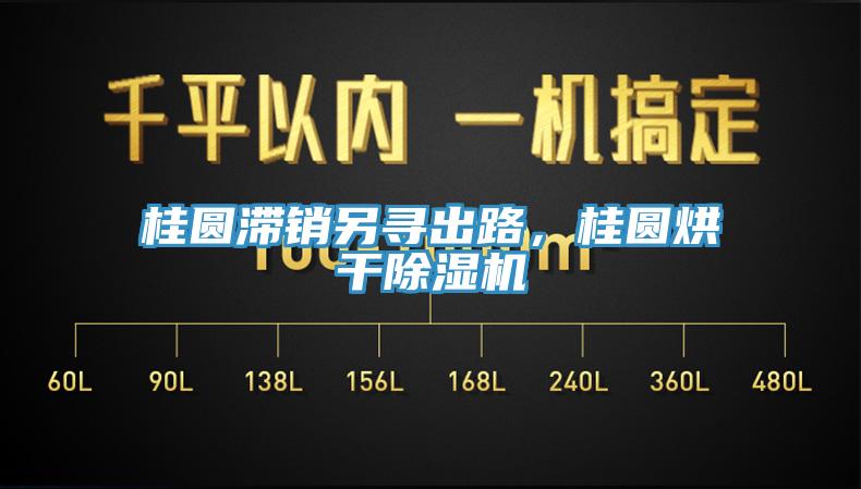 桂圓滯銷另尋出路，桂圓烘干除濕機(jī)
