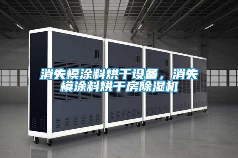 消失模涂料烘干設(shè)備，消失模涂料烘干房除濕機(jī)