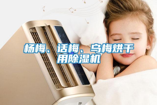楊梅、話梅、烏梅烘干用除濕機
