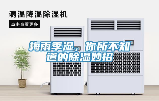 梅雨季濕，你所不知道的除濕妙招