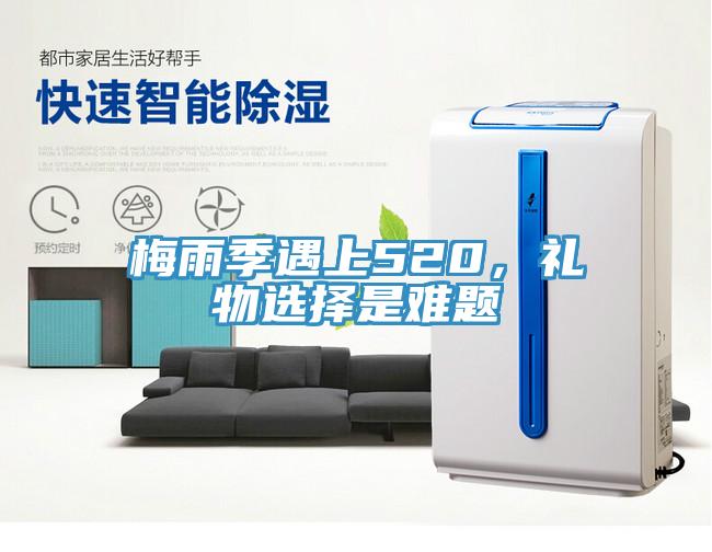 梅雨季遇上520，禮物選擇是難題