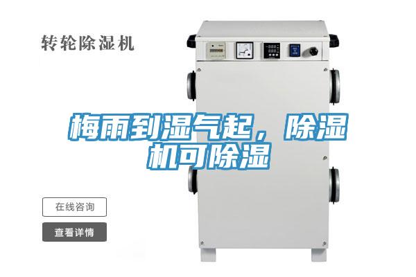 梅雨到濕氣起，除濕機(jī)可除濕